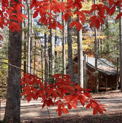 A tour of Stay Saluda